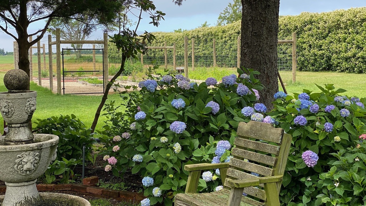 Photo of Outdoor in Cutchogue