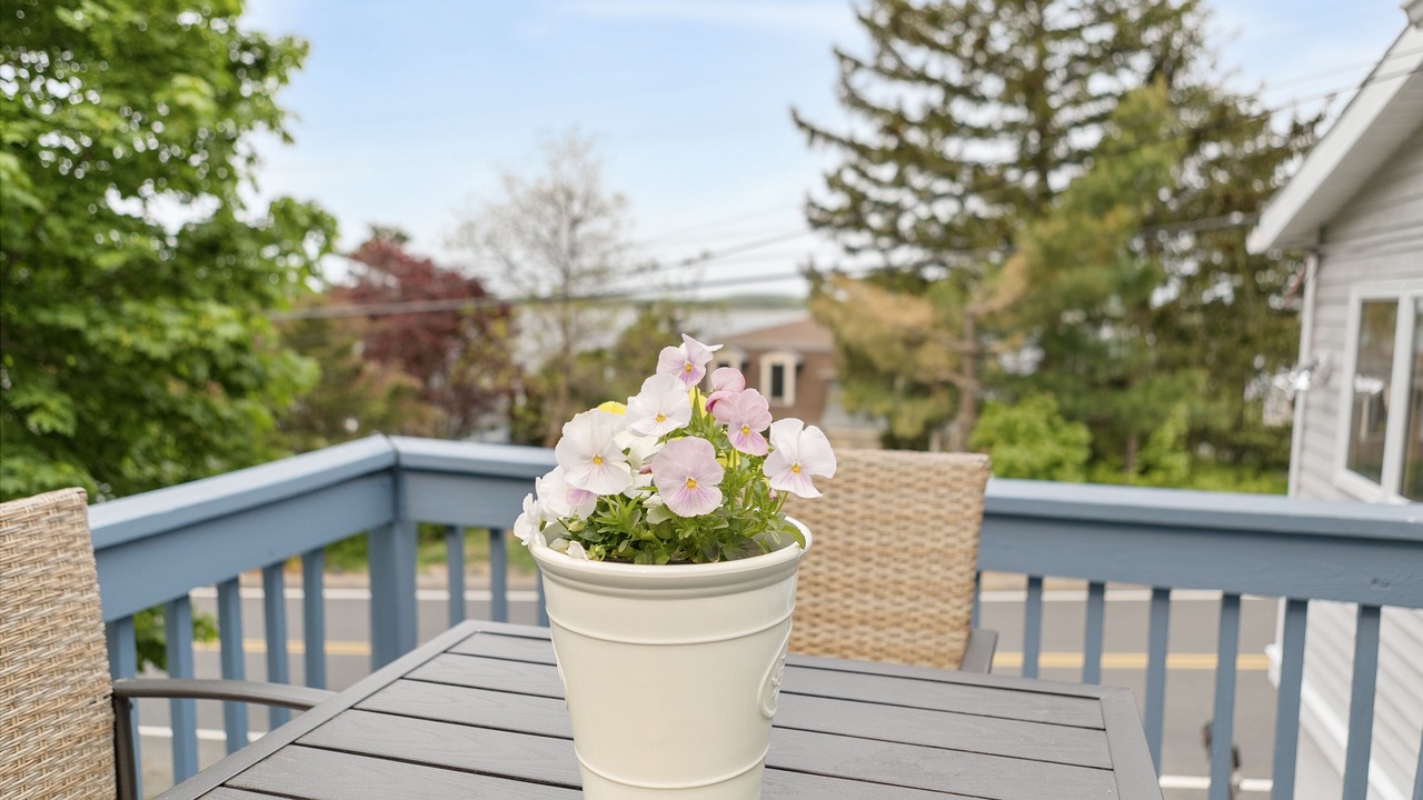 Photo of Outdoor in Great Neck