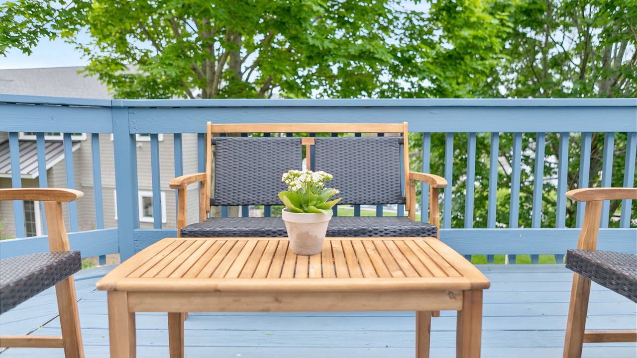 Photo of Outdoor in Great Neck