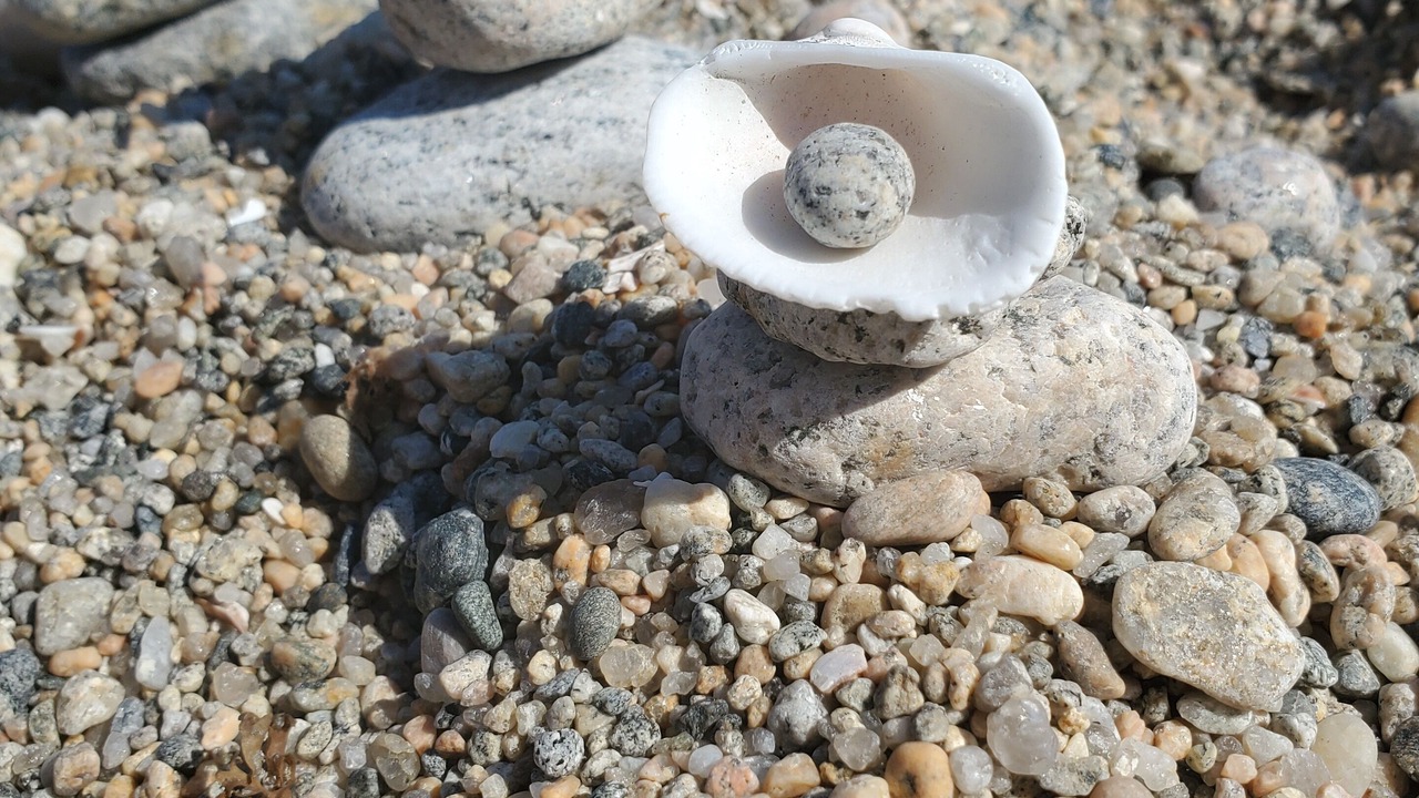 Photo of Others in Niantic