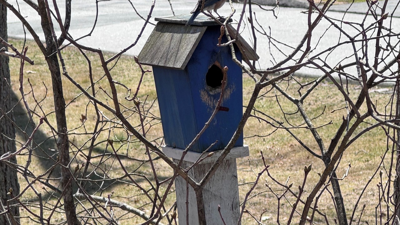 Photo of Others in Niantic