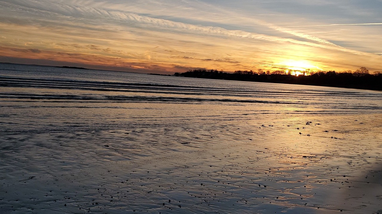 Photo of Others in Niantic
