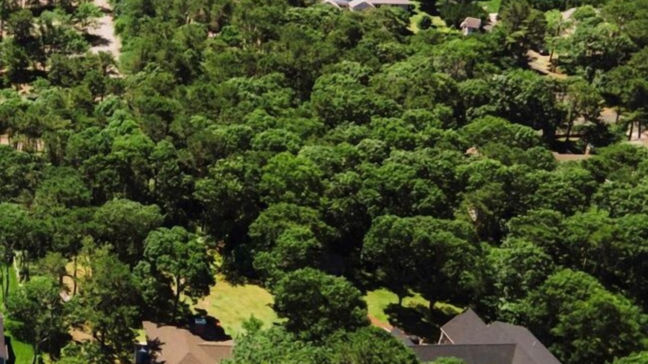 Photo of Outdoor in Bass River