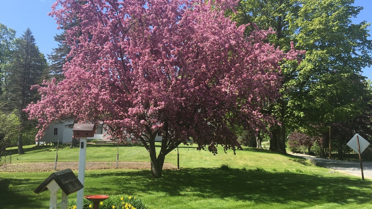 Photo of Outdoor in West Newfield
