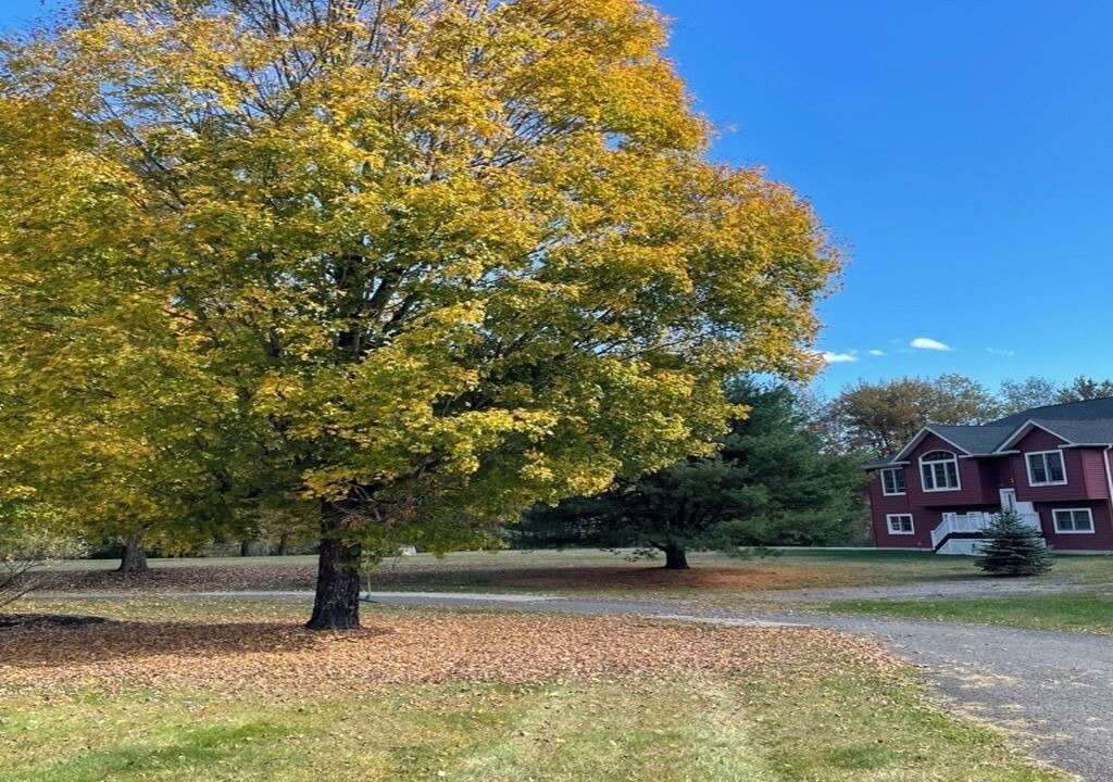 Photo of Outdoor in Highland