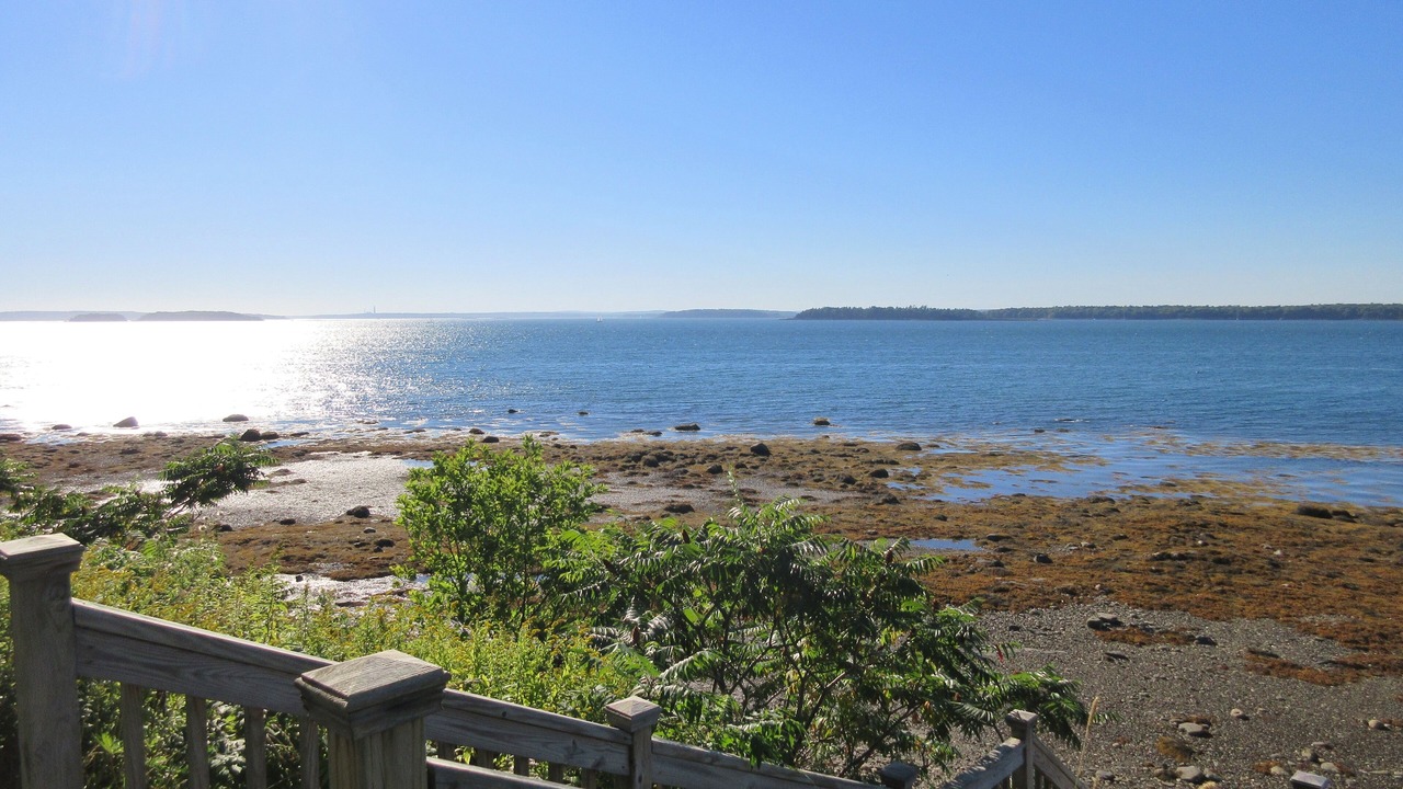 Photo of Others in Mid-Coast and Islands