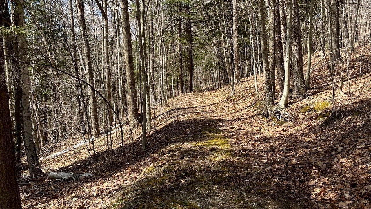 Photo of Outdoor in Williamstown