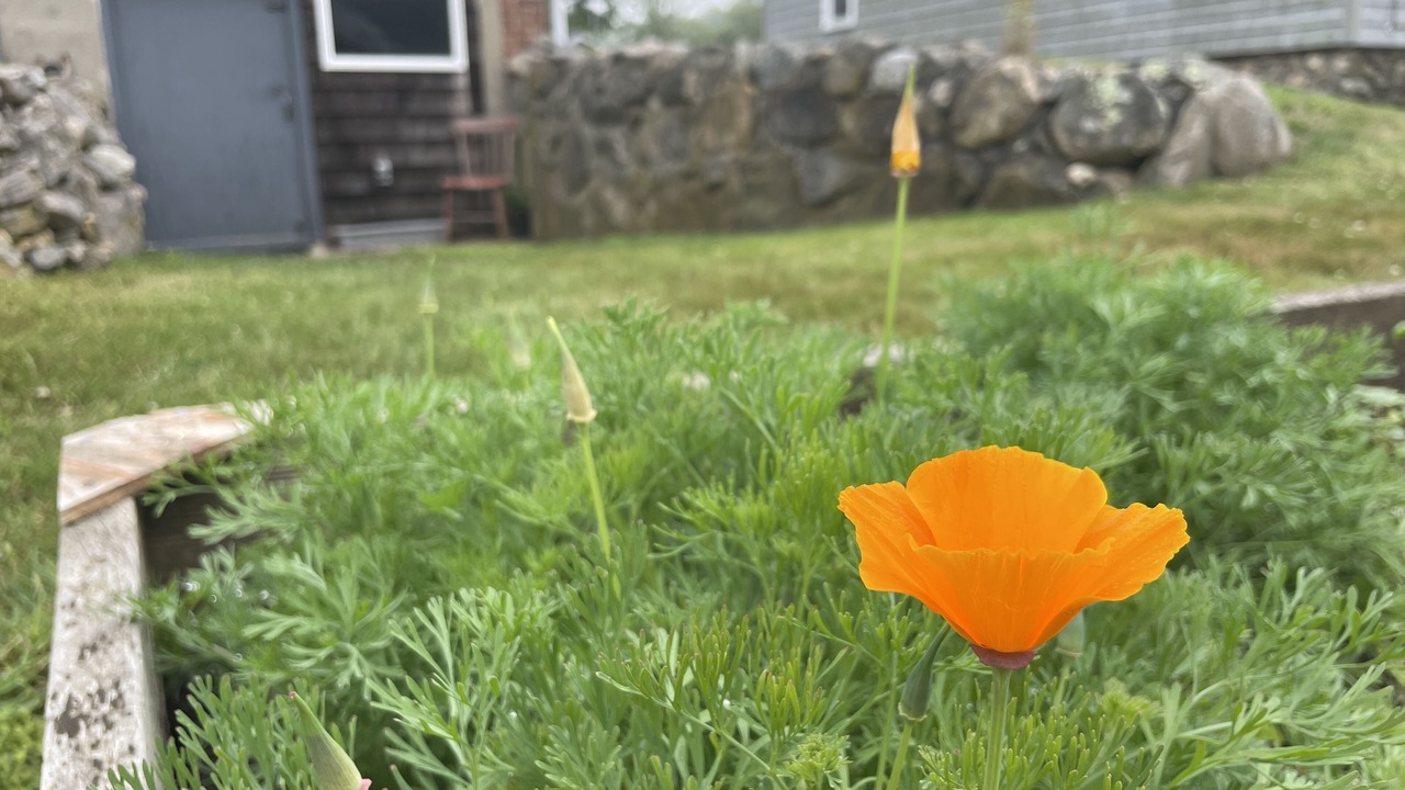 Photo of Outdoor in Stonington