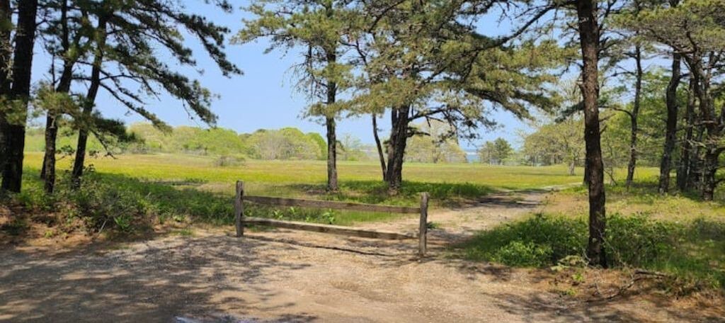 Photo of Outdoor in Edgartown