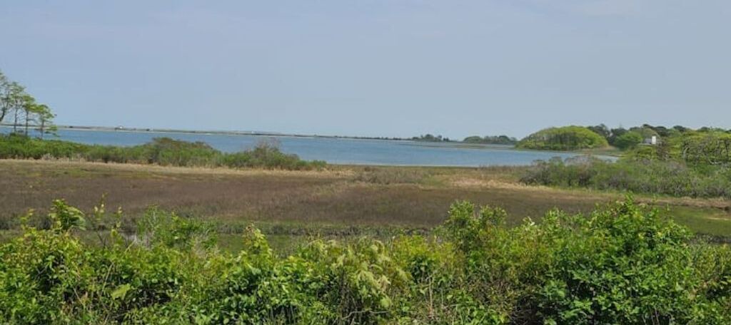 Photo of Outdoor in Edgartown