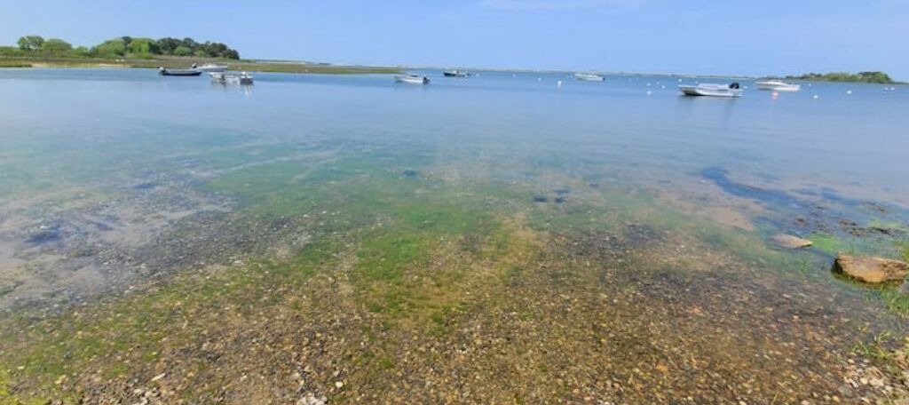 Photo of Others in Edgartown