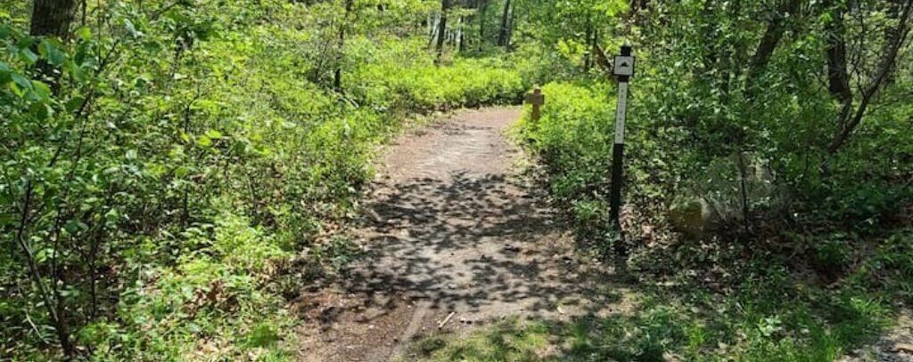 Photo of Outdoor in Edgartown
