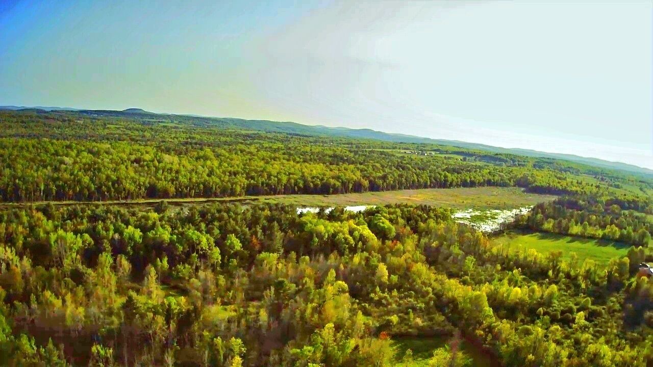 Photo of Others in Town of Root