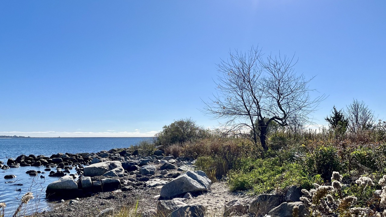Photo of Others in Stonington