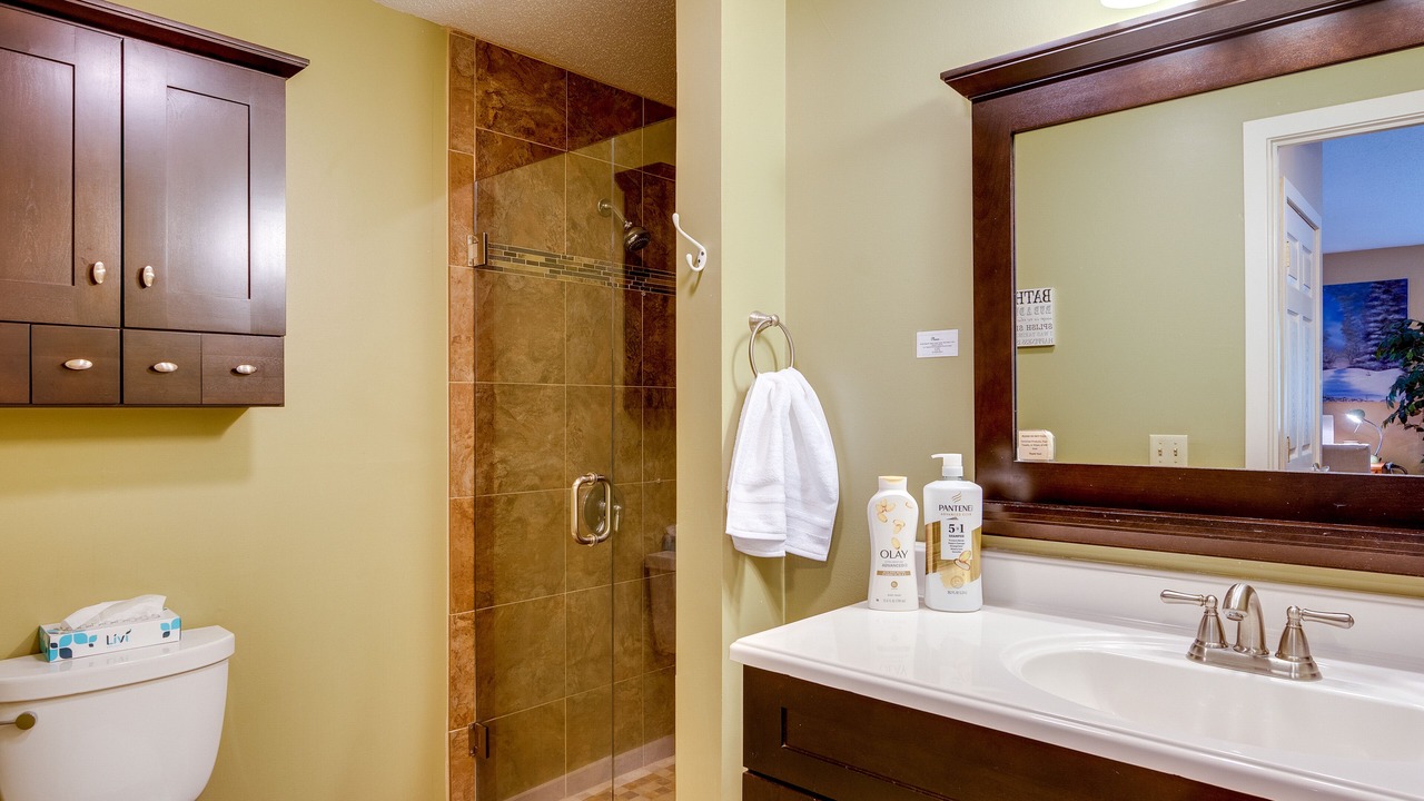 Photo of Bathroom in Bartlett