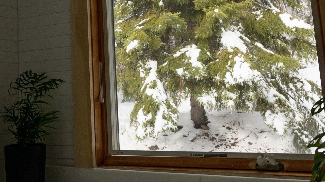 Photo of Others in Edgewood