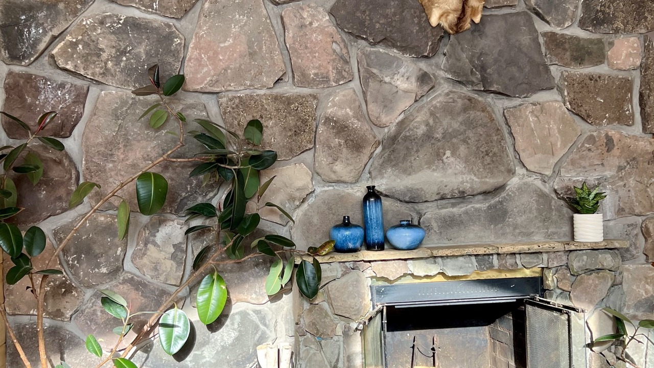 Photo of Others in Edgewood