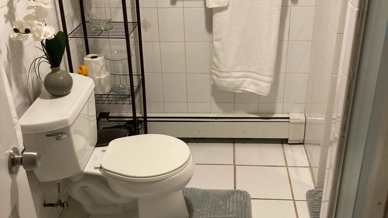 Photo of Bathroom in Elmont