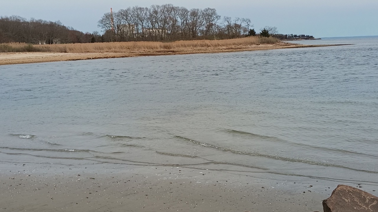 Photo of Others in Niantic