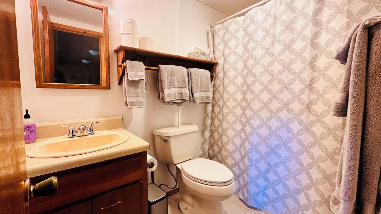 Photo of Bathroom in Mannsville