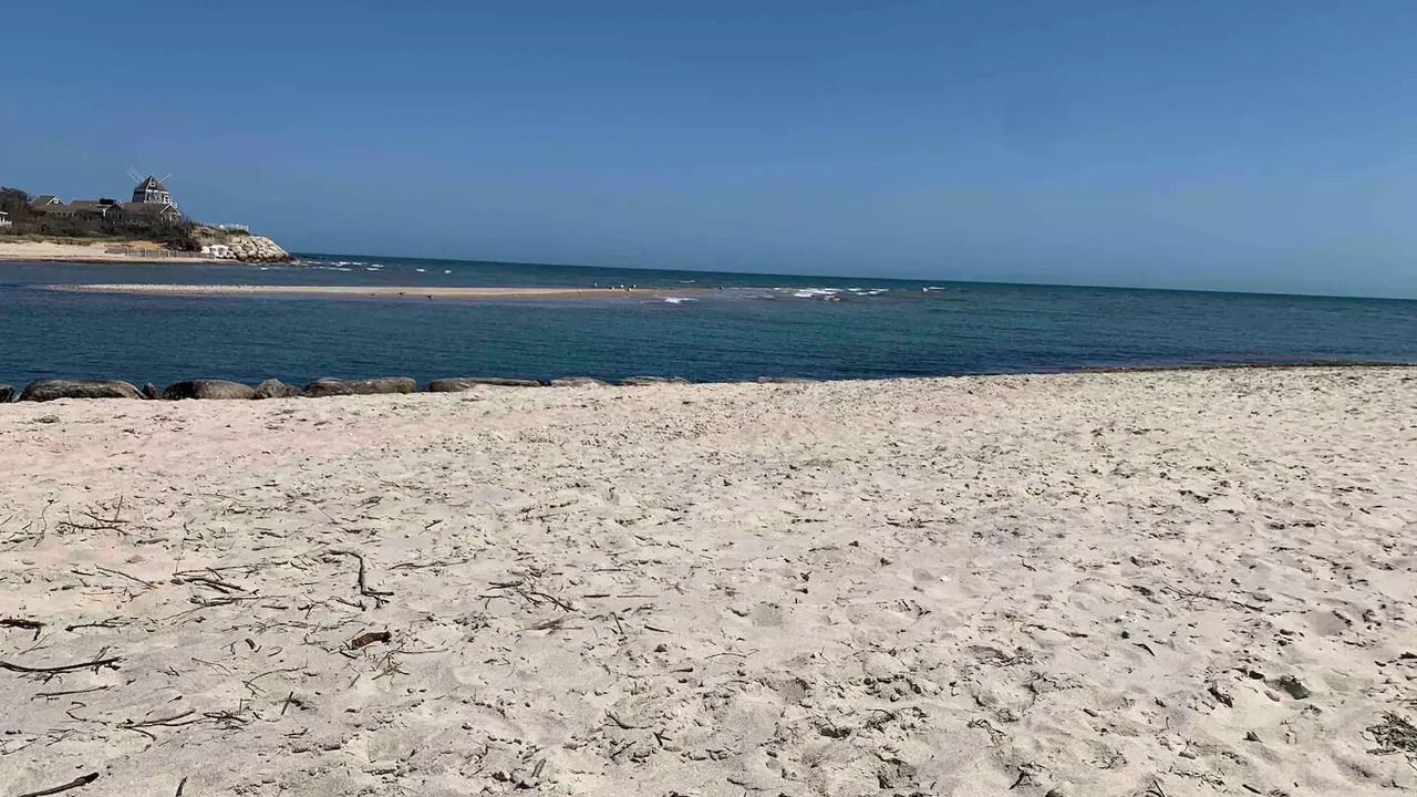 Photo of Others in West Dennis