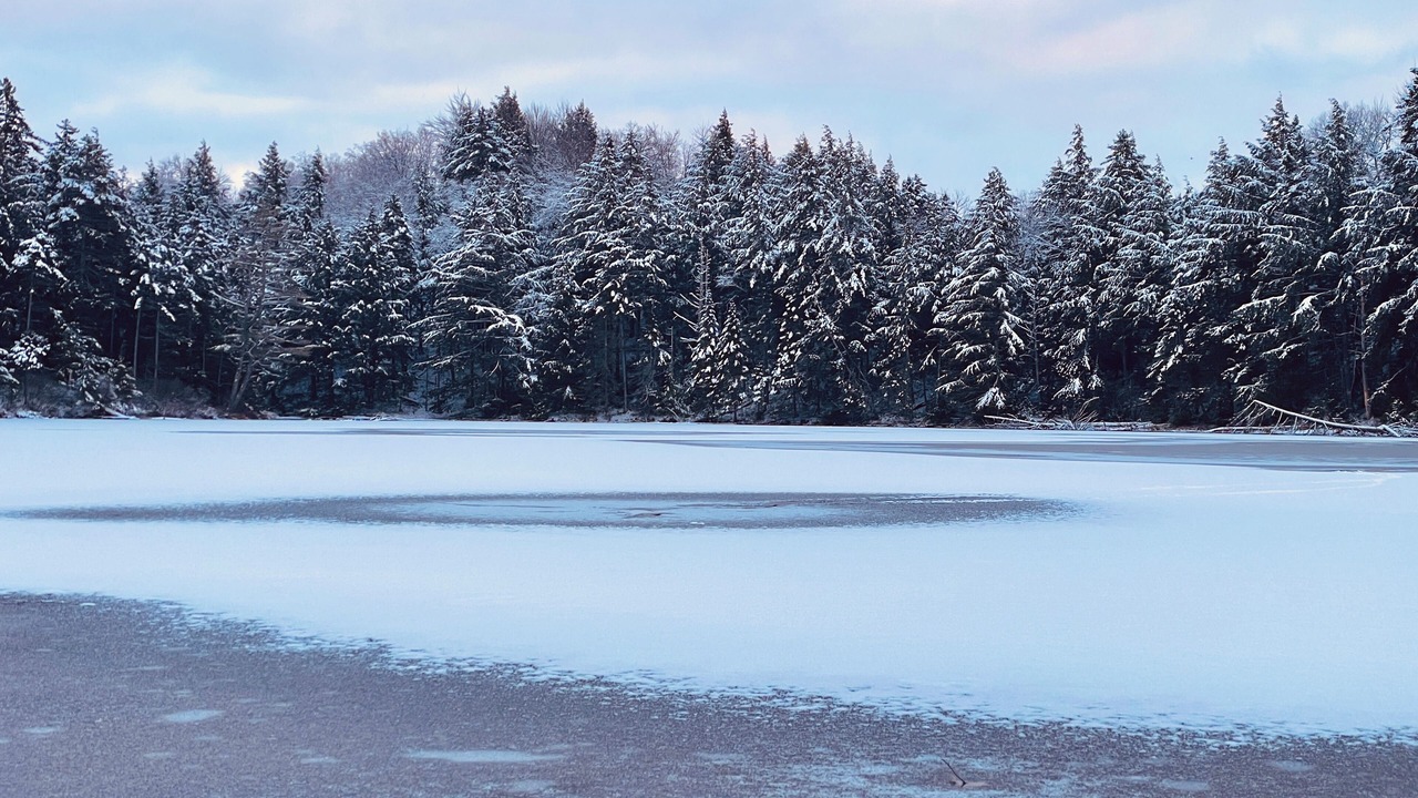 Photo of Others in Wolcott