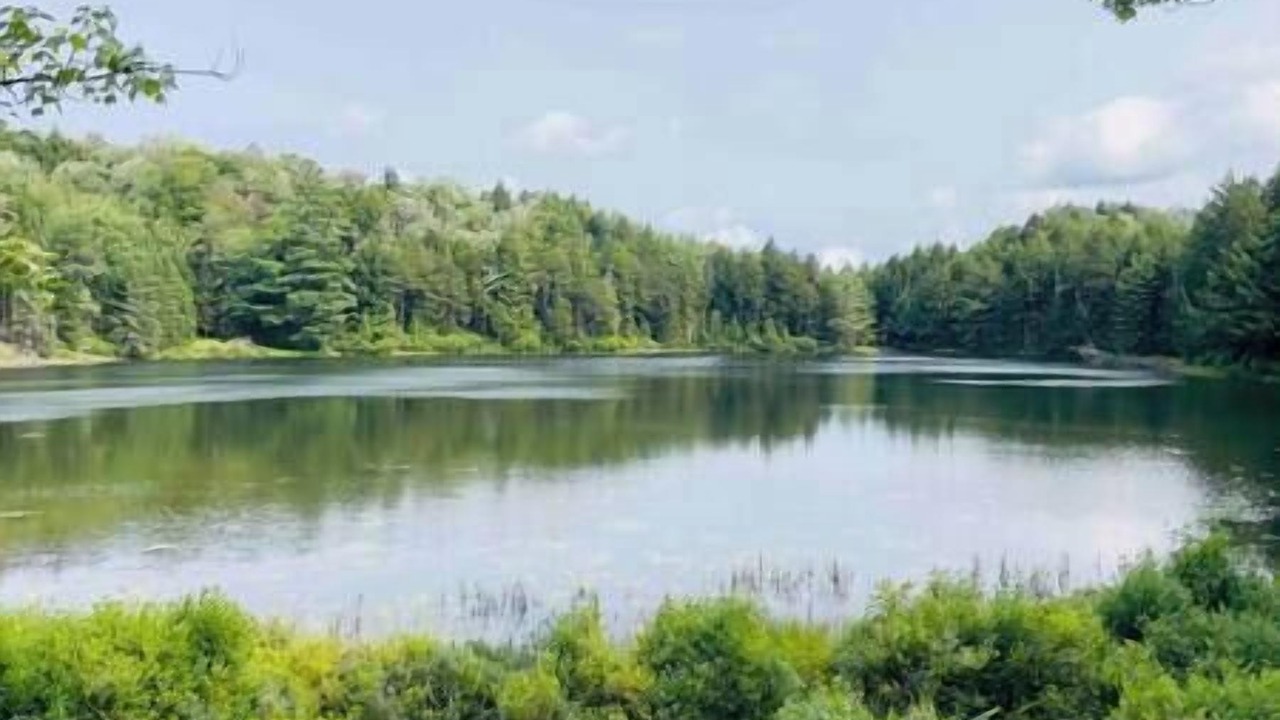 Photo of Others in Wolcott