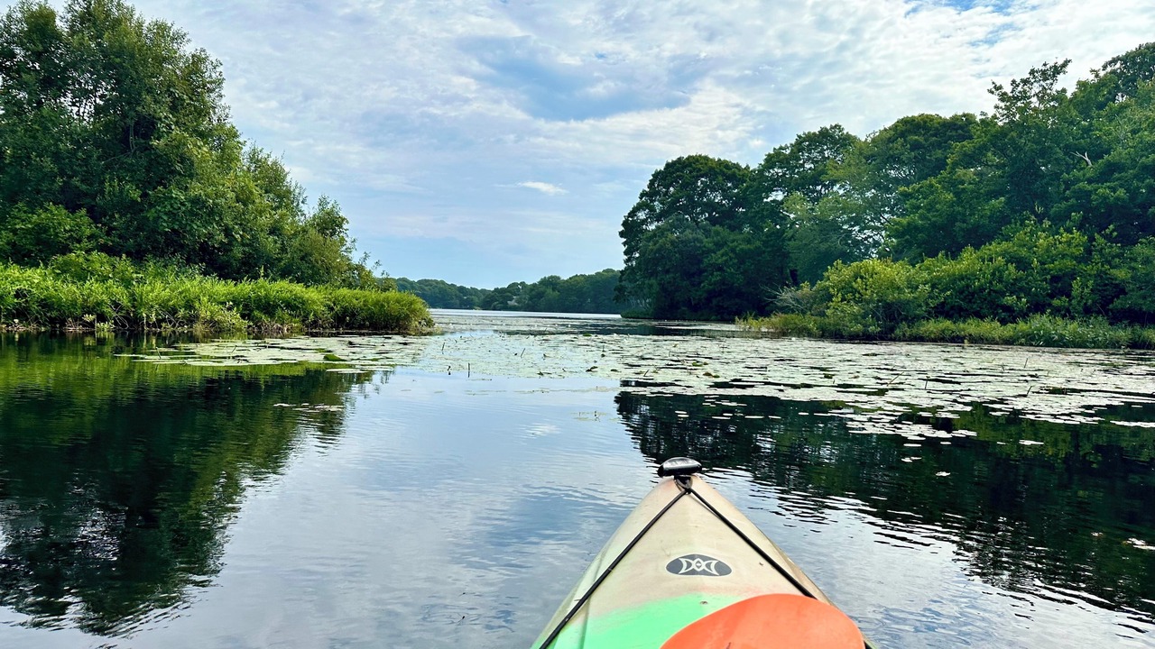 Photo of Others in South Yarmouth