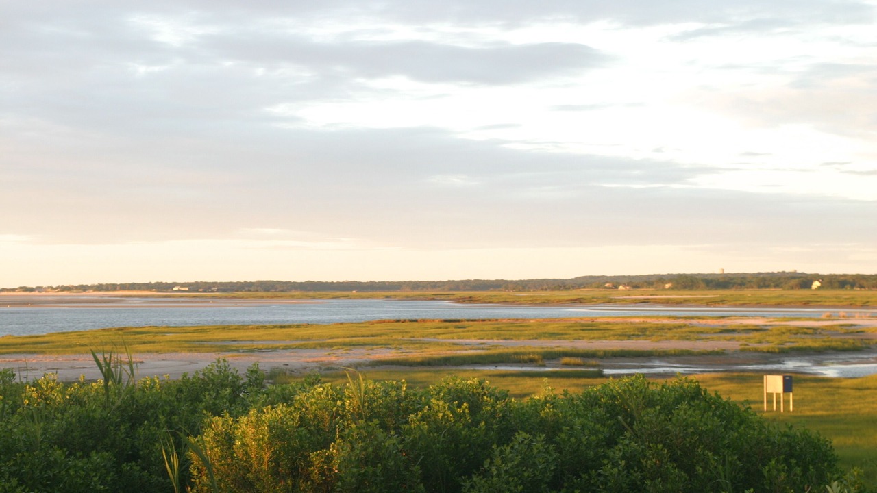 Photo of Others in Barnstable