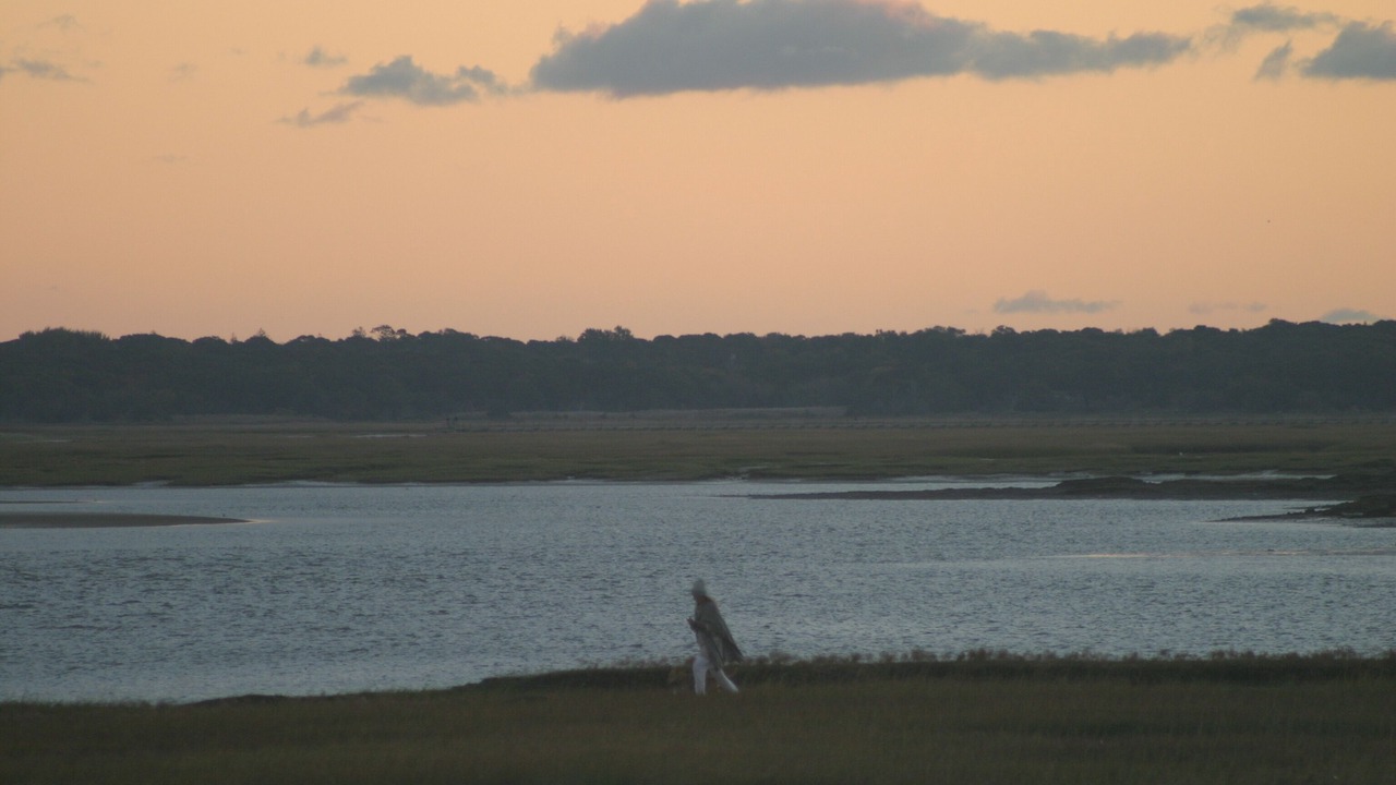 Photo of Others in Barnstable
