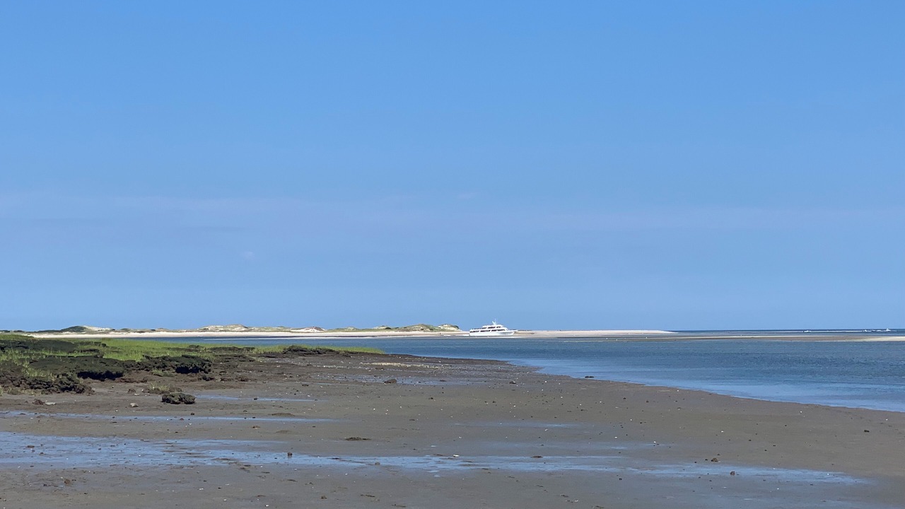 Photo of Others in Barnstable