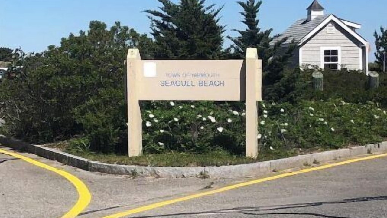 Photo of Outdoor in West Yarmouth
