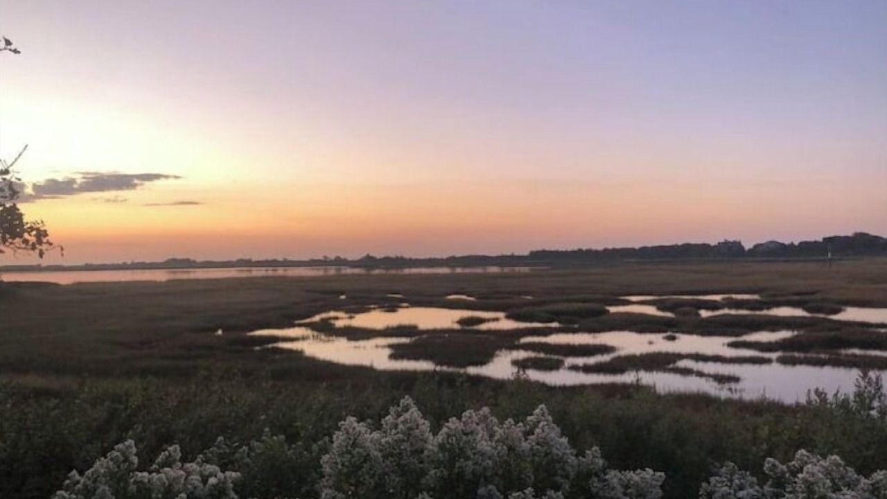 Photo of Others in West Yarmouth