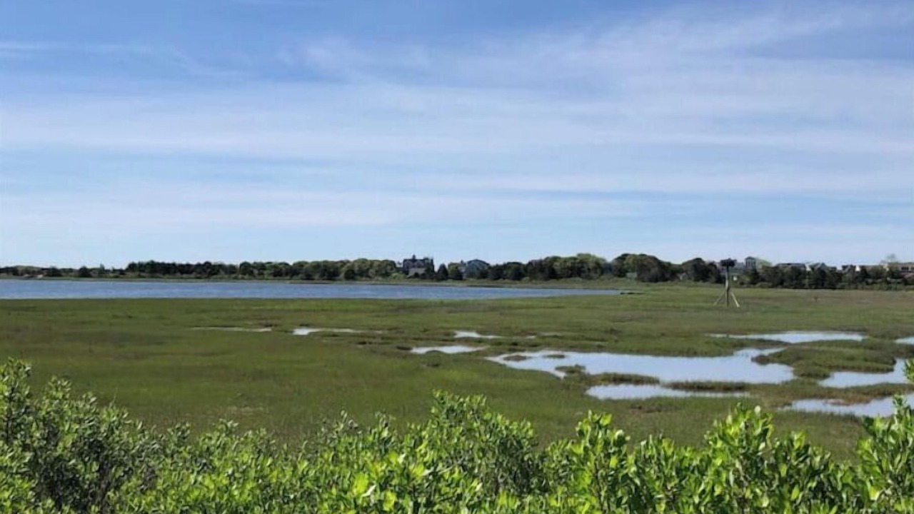 Photo of Others in West Yarmouth