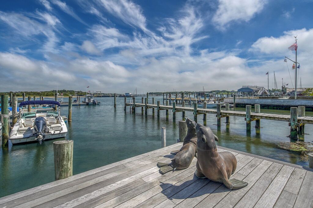 Photo of Outdoor in Edgartown