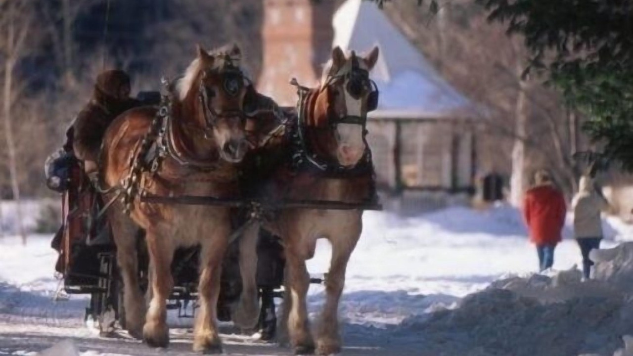 Photo of Others in North Conway