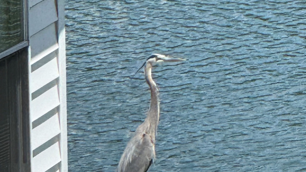 Photo of Others in Sebascodegan Island