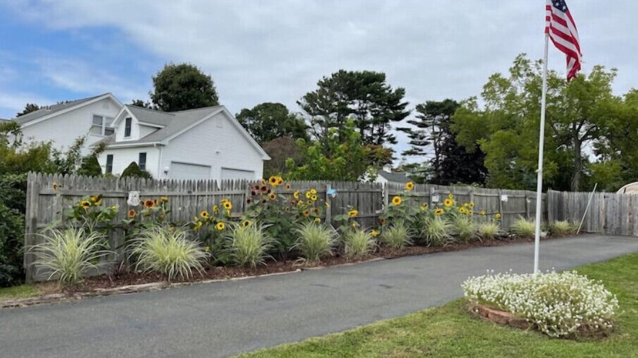 Photo of Outdoor in Momauguin