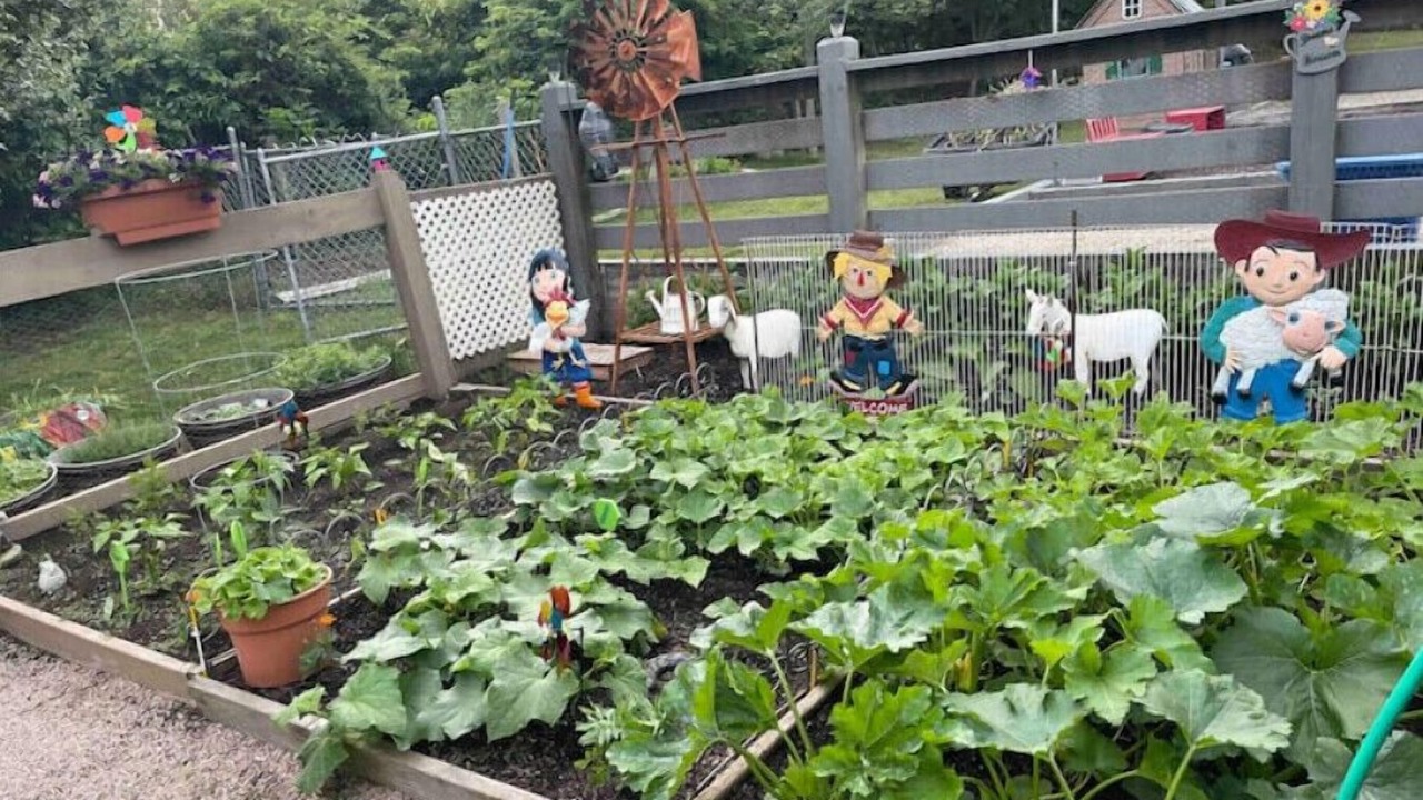 Photo of Outdoor in Momauguin