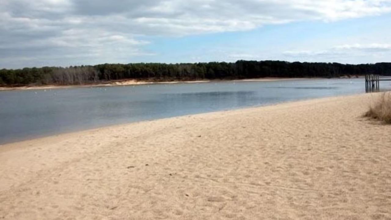 Photo of Others in East Falmouth