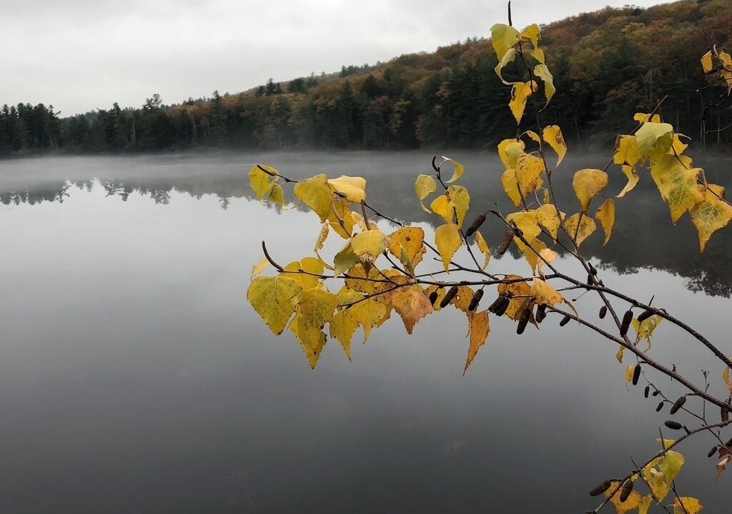 Photo of Others in Hubbardston