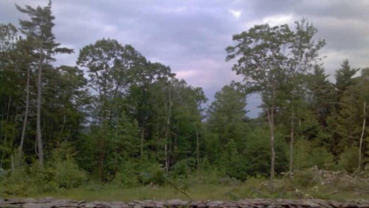 Photo of Others in New Salem