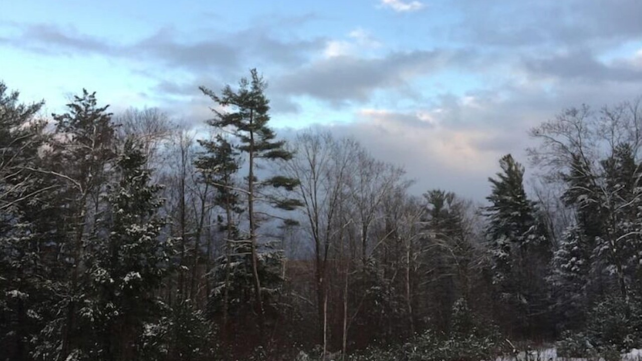 Photo of Others in New Salem