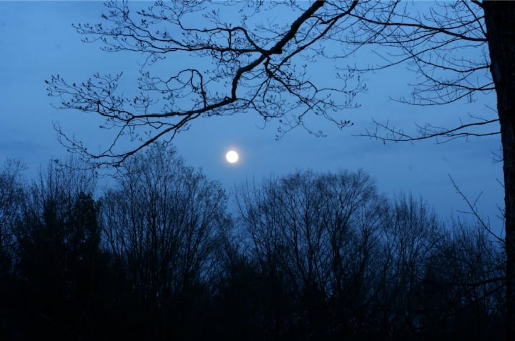 Photo of Outdoor in New Salem