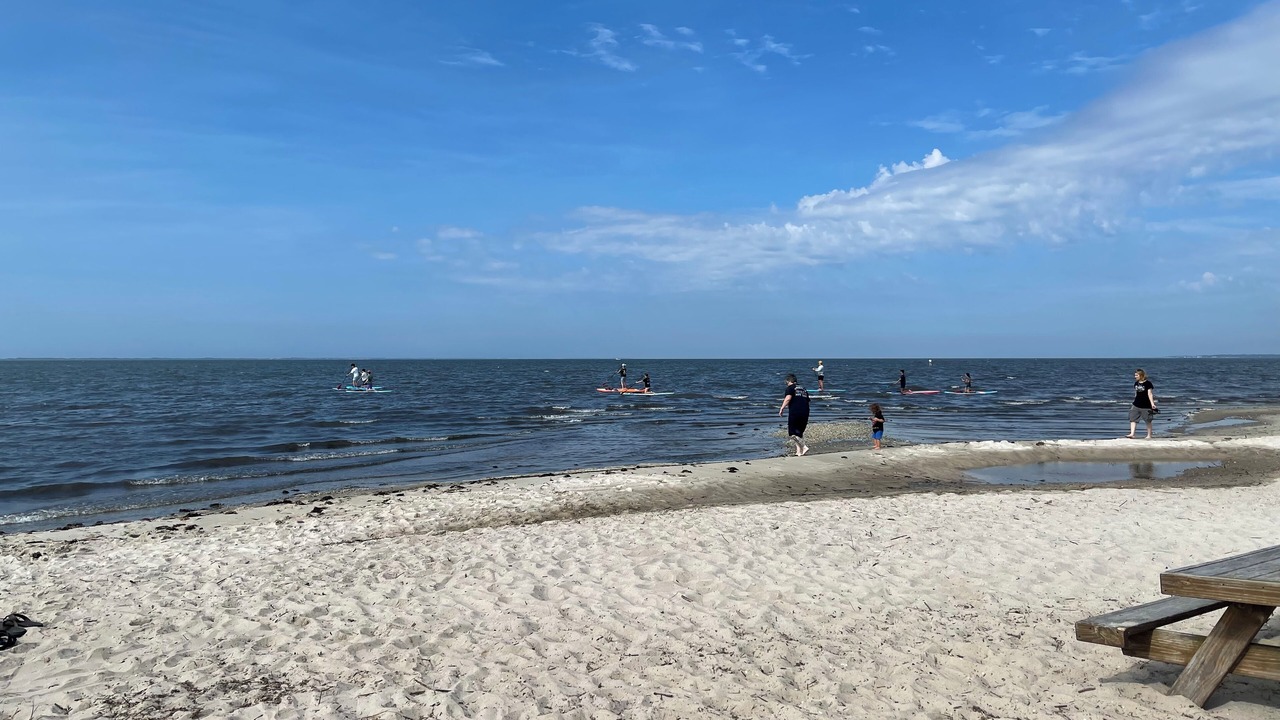 Photo of Others in Bellport