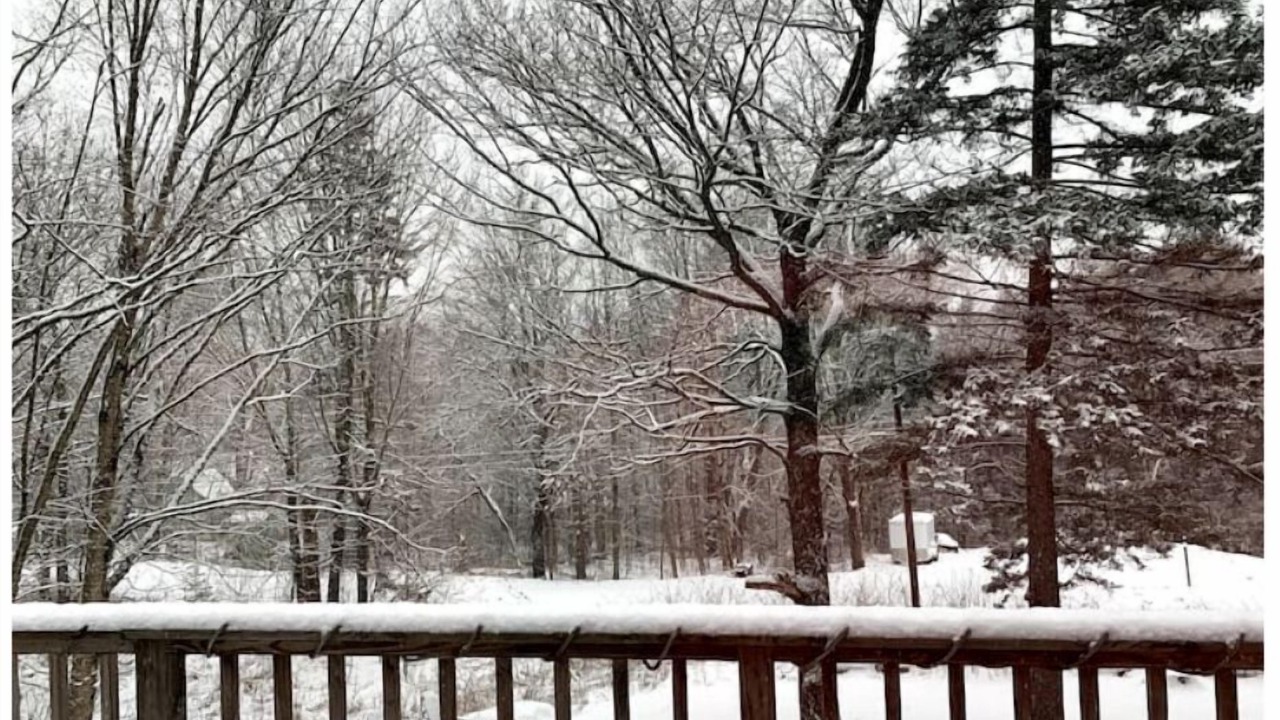 Photo of Outdoor in Wilmington