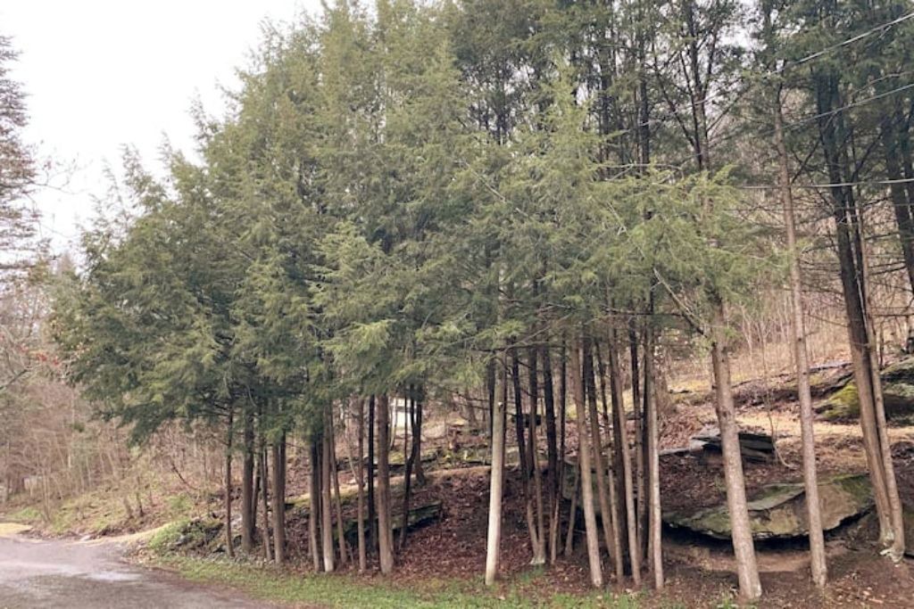 Photo of Outdoor in Margaretville