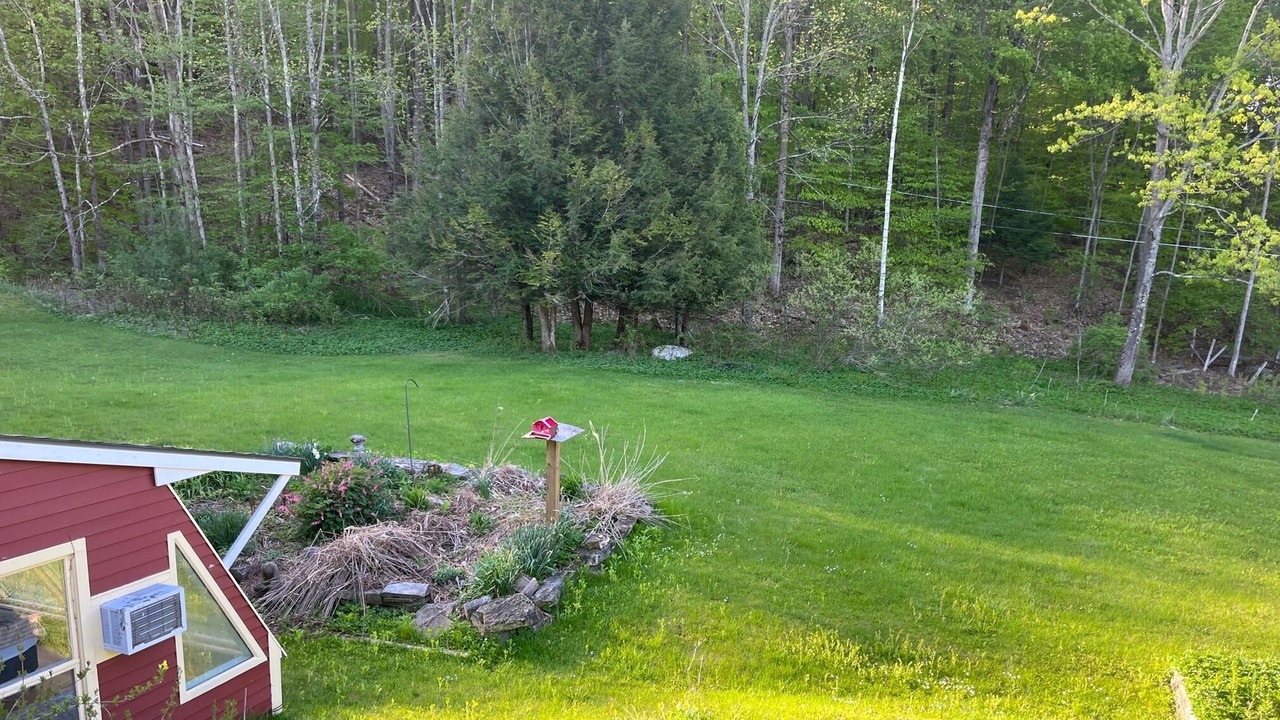 Photo of Outdoor in East Dorset