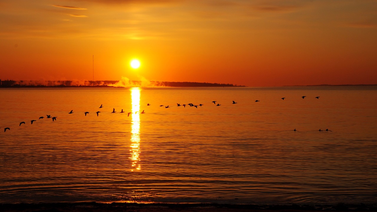 Photo of Others in Niantic