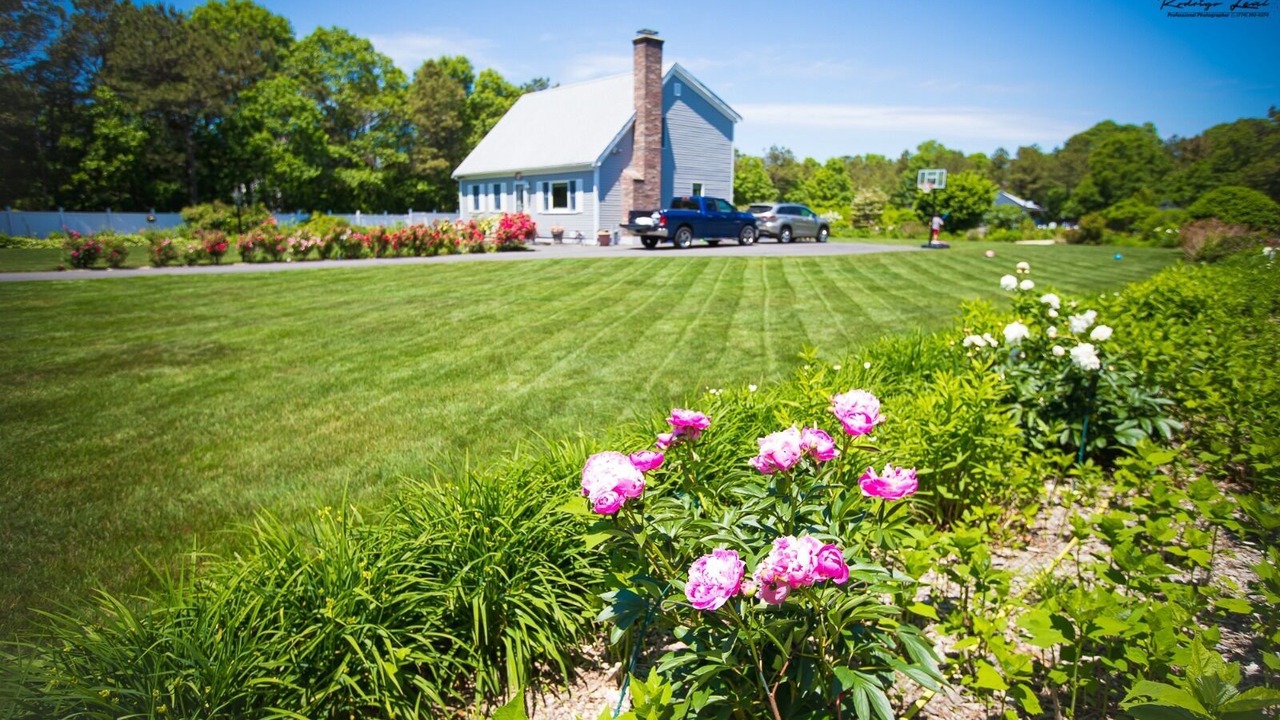 Photo of Outdoor in East Falmouth